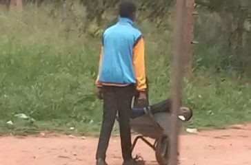 Limpopo learner transported by wheelbarrow in Limpopo.