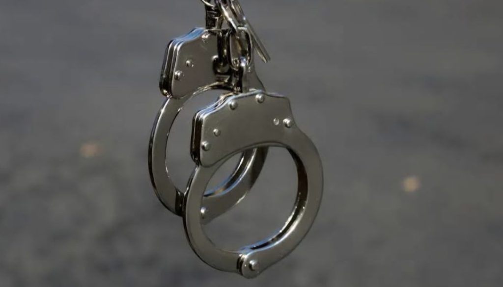 Foreign national arrested for sexual assault of minor boys