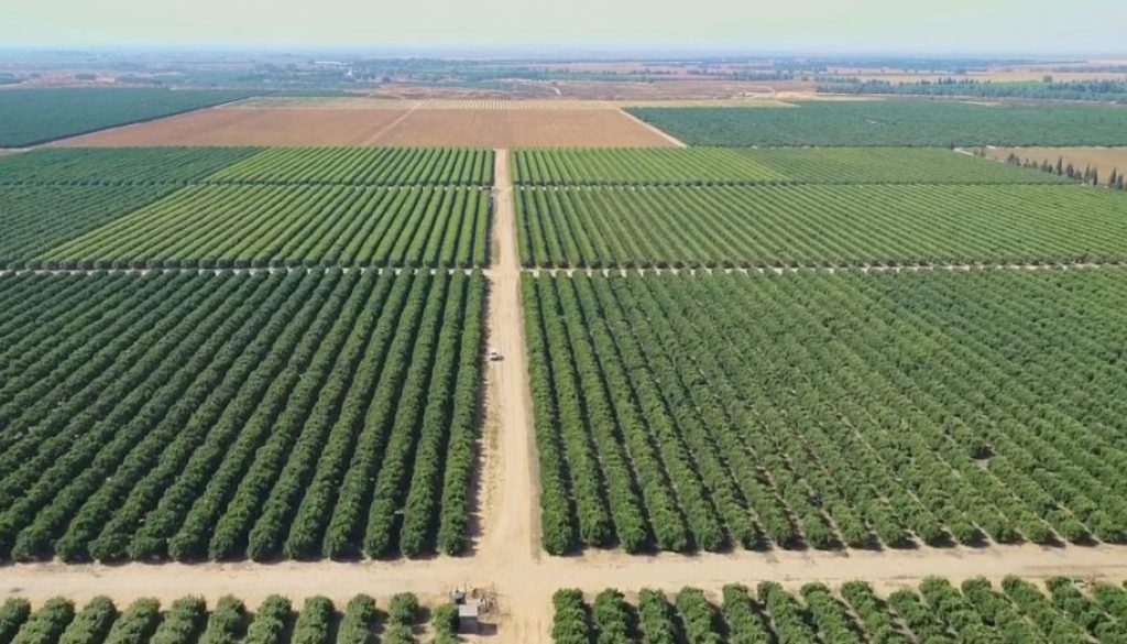 The aerial view of the Ecovado plant