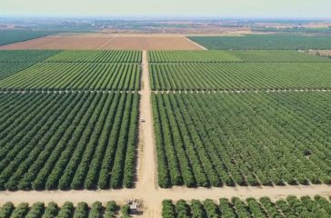 The aerial view of the Ecovado plant