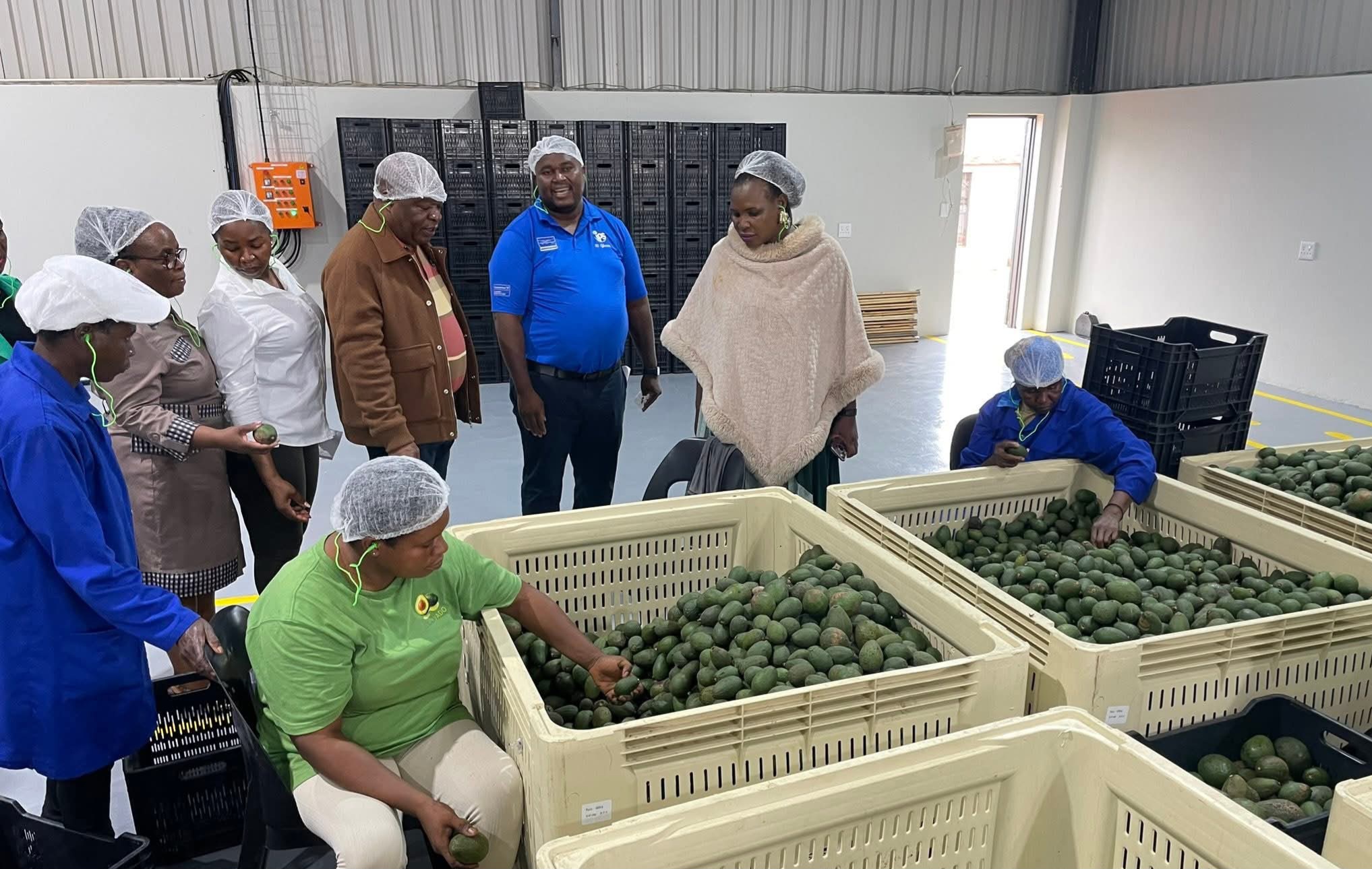 Collisn Chabane Mayor Shadrack Maluleke, visiting the Ecovado Factory in Dovheni Village
