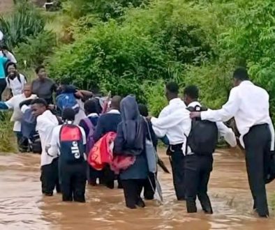 School kids crossing a river in Vhembe