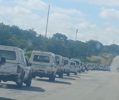 17 scholar transports impounded