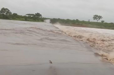 A picture of a flooded bridge at the Kruger National park
